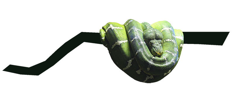 Serpiente