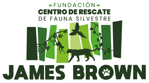 Logo-principal